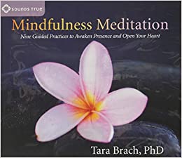 Best Mindfulness Audiobooks