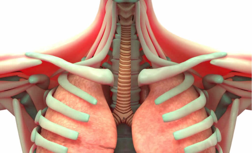 The Breather Respiratory Muscle Trainer Buying Guide